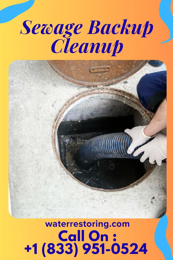 Sewage Backup Cleanup in Bishop, TX
